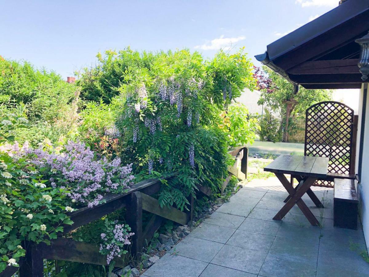 Villa Konik Morski Rewa Dış mekan fotoğraf
